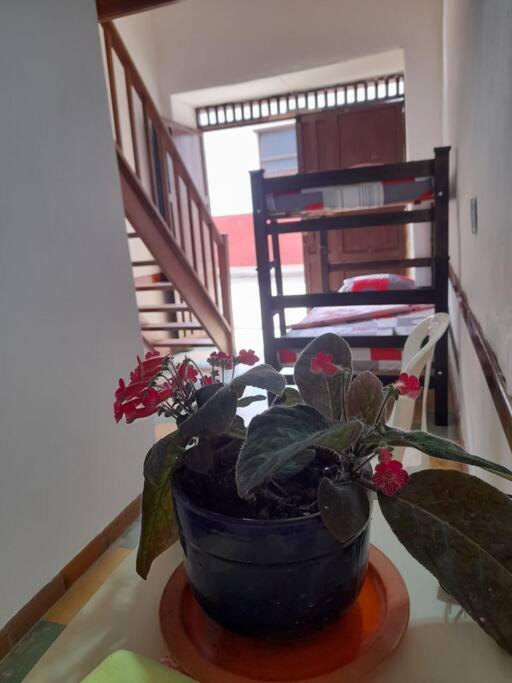 Cerca A Parque Apartment *